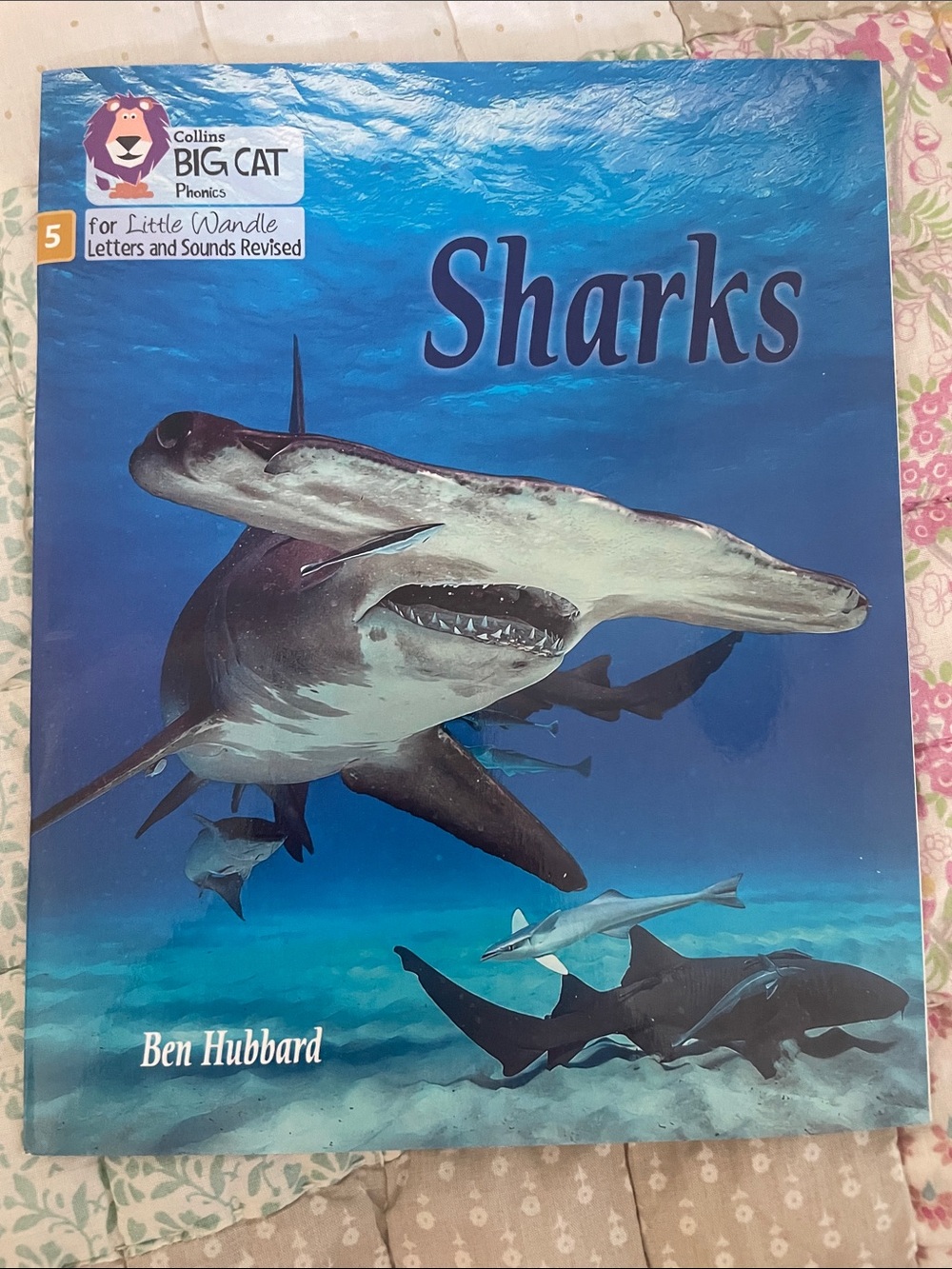 Letters and sounds level 5 - Sharks Book - Blue